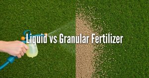 A top-down comparison image of green grass being fertilized. On the left, a hand holds a hose-end sprayer emitting a fine liquid mist over the lawn. On the right, a vertical line separates the image to show tan, pellet-like granular fertilizer scattered across the grass. Large, white, centered text across the middle of the image reads: Liquid vs Granular Fertilizer.