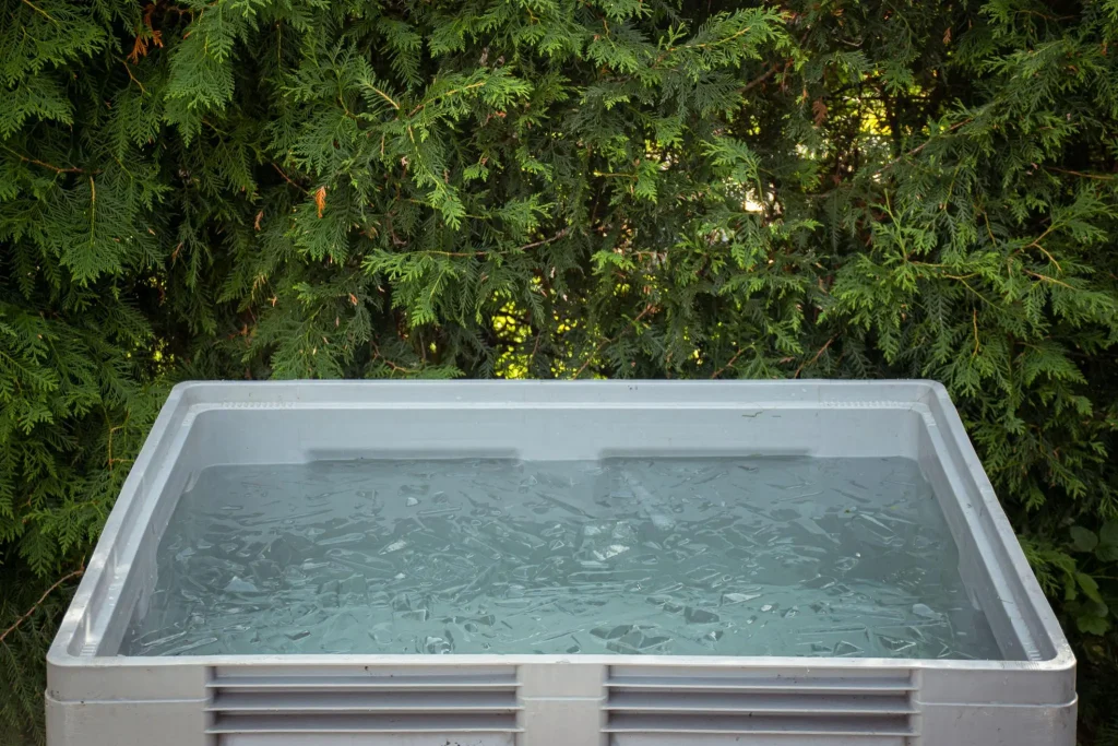 A grey rectangular ice bath tub filled with water and ice cubes placed outdoors against a green hedge background.