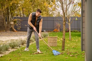 A man in a black puffer vest and tan sweater raking fallen autumn leaves on a green lawn using a blue rake. A large wicker basket for yard waste stands nearby in a suburban backyard.