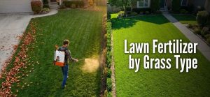An image titled "Lawn Fertilizer by Grass Type" showing a side-by-side comparison of two different lawn environments. Left Side: A man is using a backpack sprayer to apply liquid fertilizer to a large, striped lawn. The grass is a deep, cool-season green, and scattered autumn leaves are visible on the nearby driveway and lawn edge. Right Side: A vibrant, uniformly bright green lawn is shown in full sunlight, bordering a concrete walkway and landscaped garden beds. The texture appears denser, characteristic of warm-season grasses.