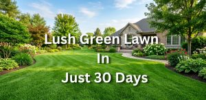 "A vibrant, lush green backyard lawn with professional mowing stripes, featuring healthy grass and beautiful landscaping around a modern suburban home."